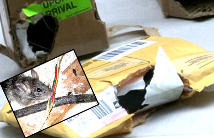 post-office-1