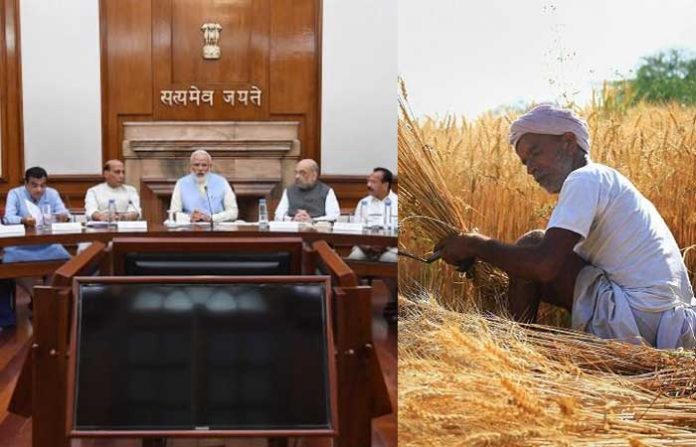 rabi-crop