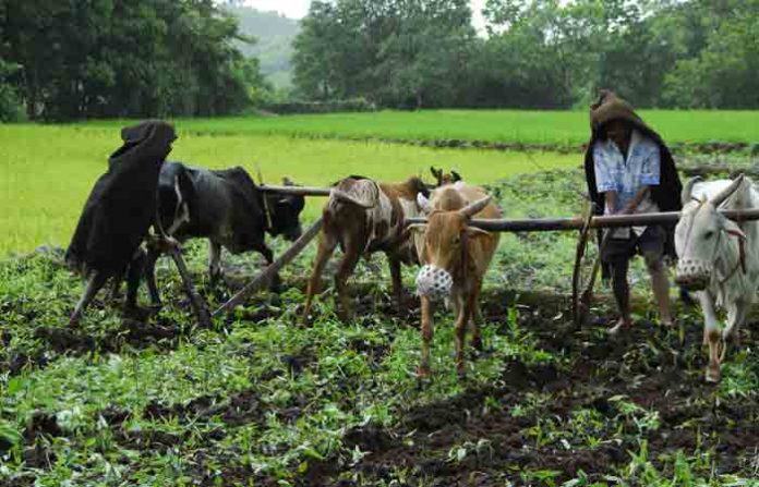 farmer-axe-working