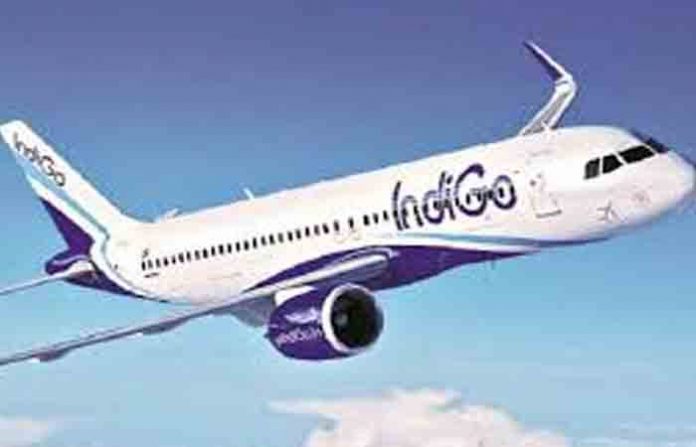 indigo-12