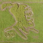 shambhu-raje-grass