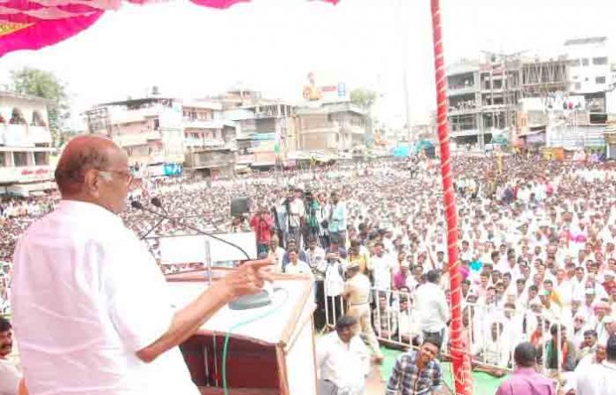 sharad-pawar-pandharpur