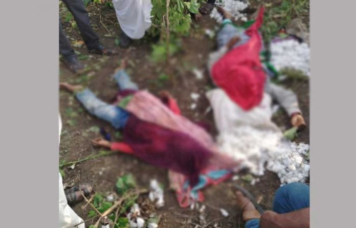 beed-murder
