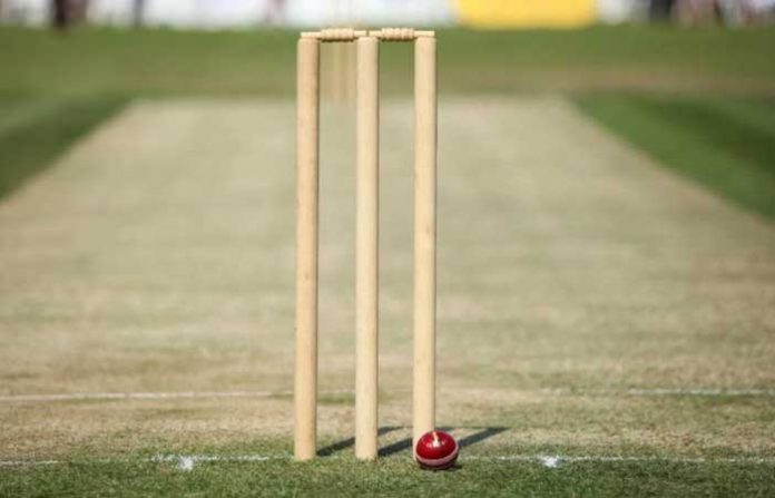 cricket