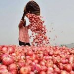 onion-market