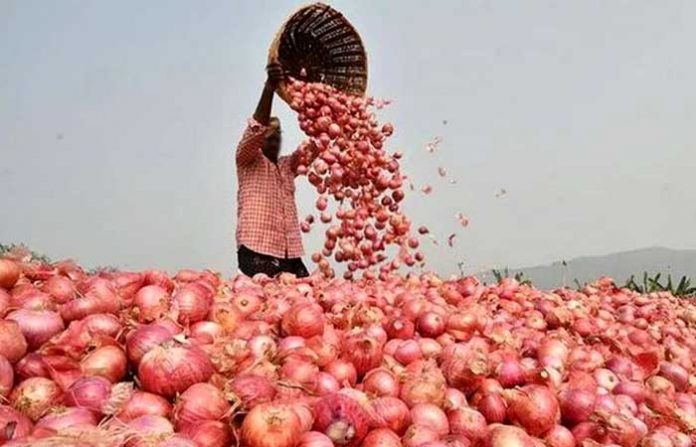 onion-market