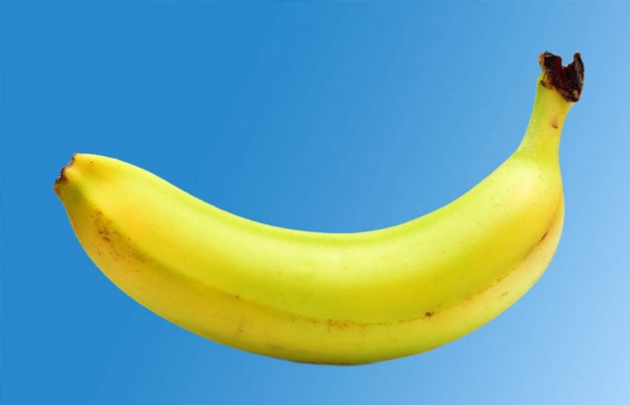 single-banana