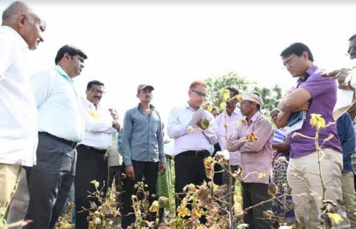 amravati-crop-1