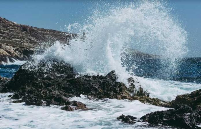 sea-weaves