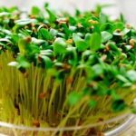 methi-5