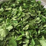 methi4
