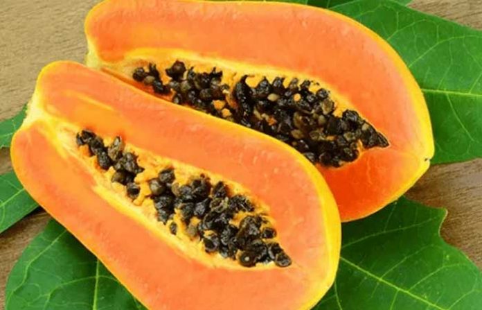 papaya