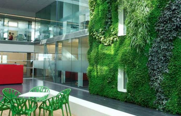 biophilic-design