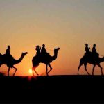 बाडमेरच्या वाळवंटी भागात SIR कामाचे मोठे आव्हान; उंटावरून घेत आहेत मतदारांचा शोध