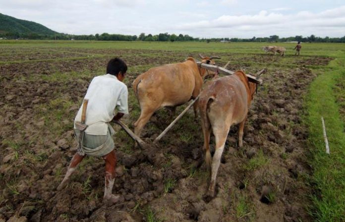 farmer-in-maharashtra-666