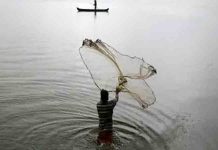 रासायनिक सांडपाणी; प्रदूषणाचा फटका, रायगडच्या समुद्रातील माशांची घरे उद्ध्वस्त उत्पादन घटले