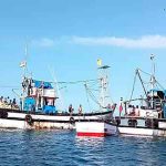 खोल समुद्रातील मासेमारीत खासगी कंपन्यांची घुसखोरी मच्छीमार संघटनेचा तीव्र विरोध