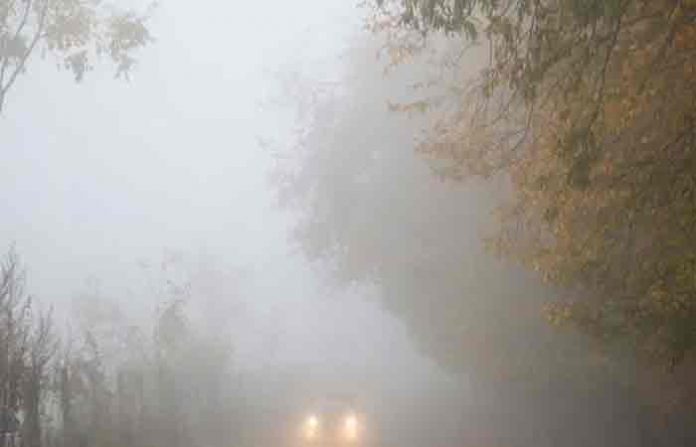 fogg