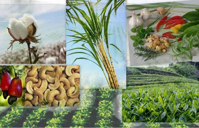 green-revolution