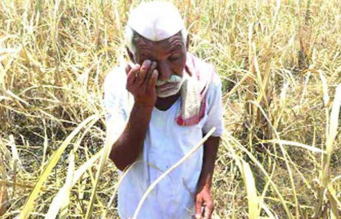 images-9_dilip-deshpande