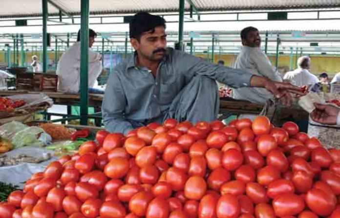 pakistan-tomato-1