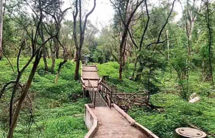priyadarshini-park
