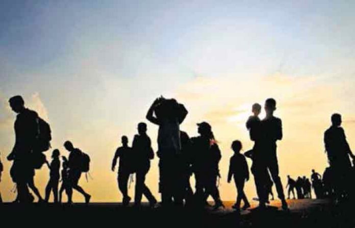 refugee