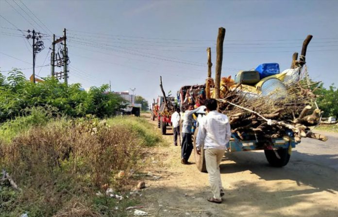sugar-cane-farmer