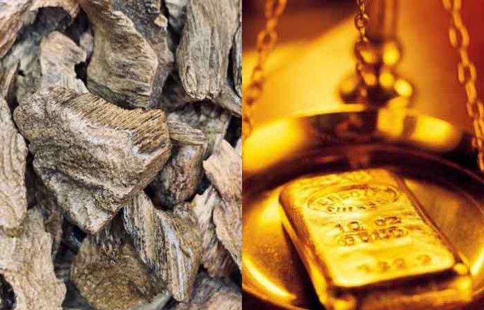 agarwood-gold
