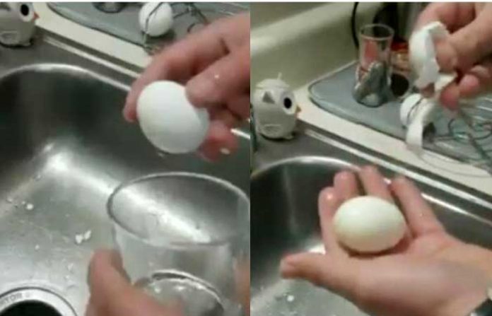 boil-egg