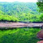 sahyadri-forest-1