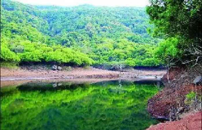 sahyadri-forest-1
