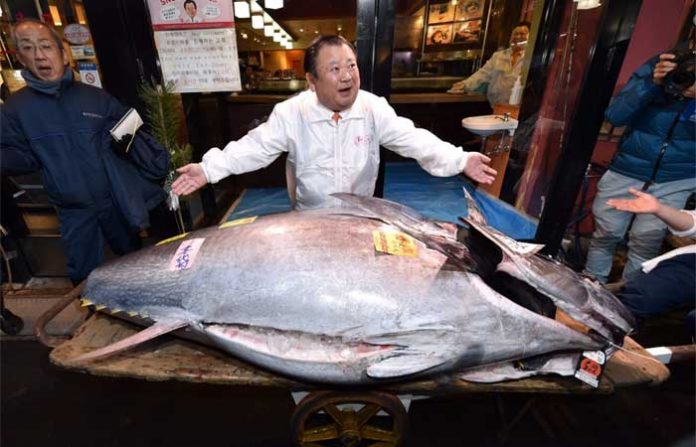tuna