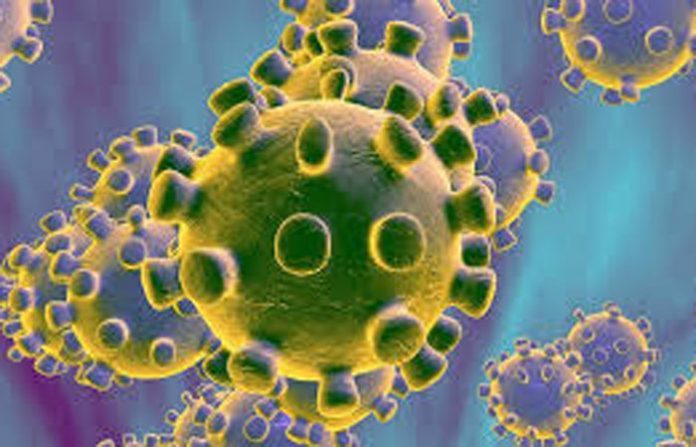 corona-virus