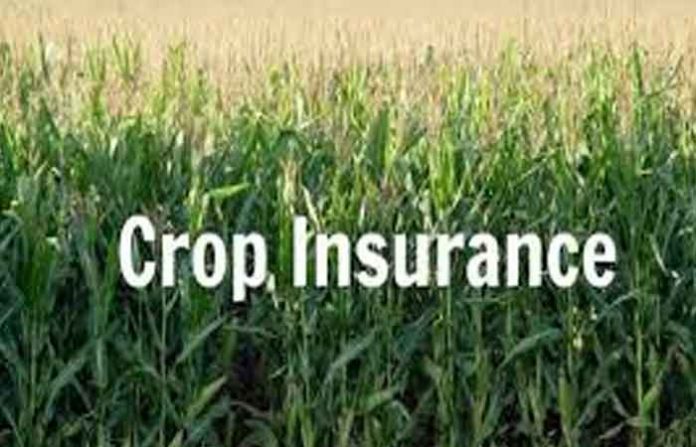 crop-insurance