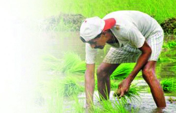 farmer-kepe-621x41
