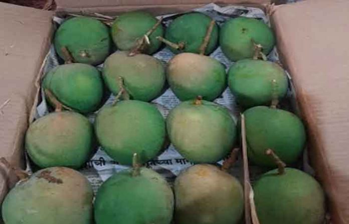 mango1