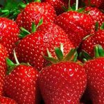 strawberry from kalvan in gujarat