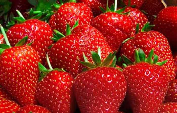 strawberry from kalvan in gujarat