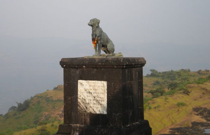 waghya-1