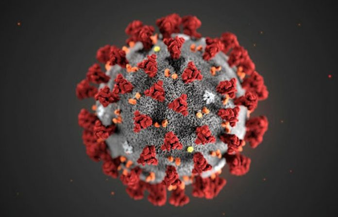 corona-virus-2-jpeg