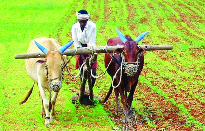 farmer4