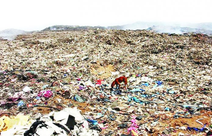 deonar3