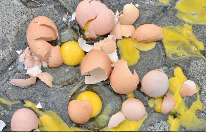 eggs