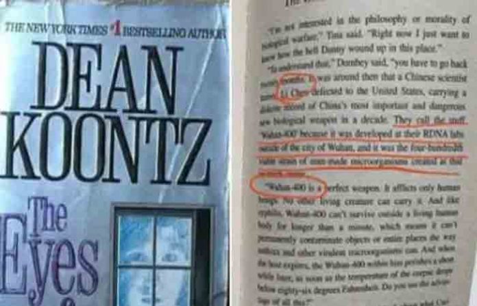 novel