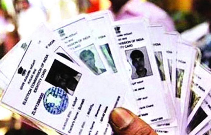 voter id