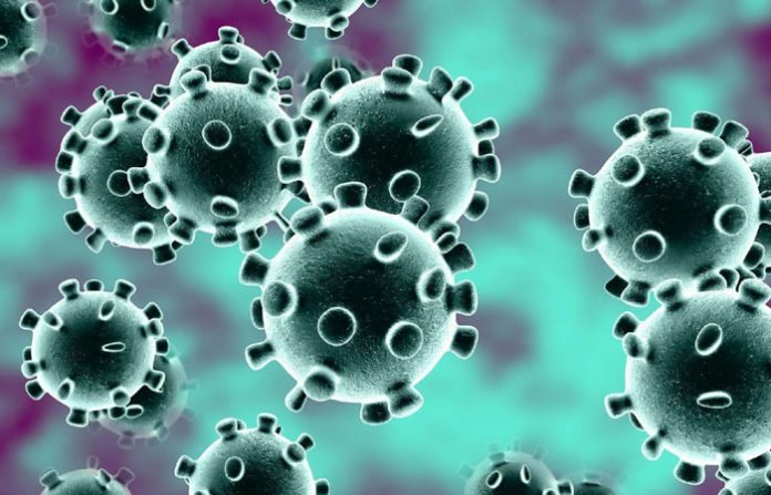 coronavirus