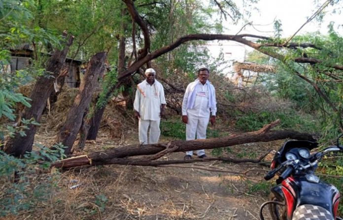 beed-border
