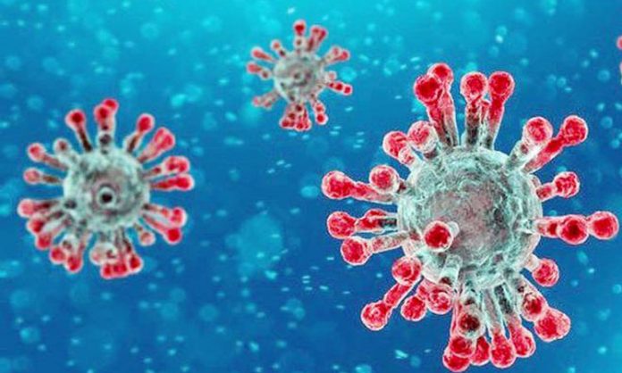 coronavirus-2