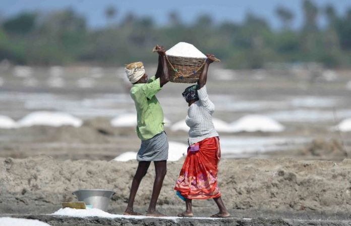 salt-pan-labour